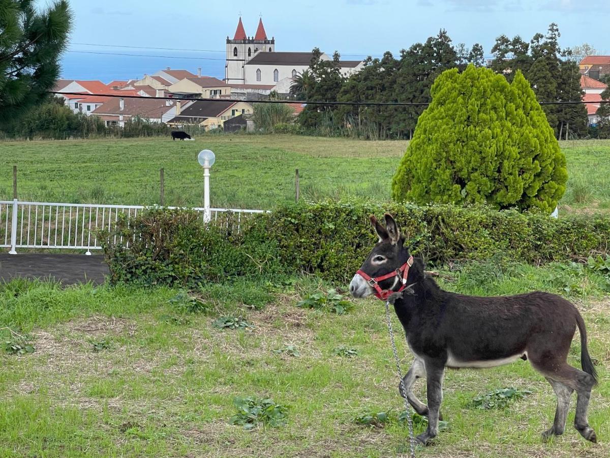 Quinta do Avô Dimas - Rural Home - São Brás Porto Formoso Exterior foto